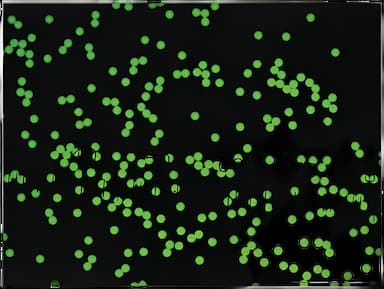 Fluorescent Particles Thermo Scientific™ Fluoro-Max™ Dyed Polystyrene Microsphere in Water Flow Cytometry / Microscopy pH 5.0 to 8.0 15 mL - 09980410