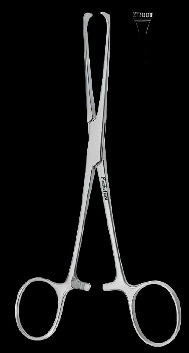 Tissue Grasping Forceps MeisterHand® Boys-Allis 6 Inch Length Surgical Grade German Stainless Steel NonSterile Ratchet Lock Finger Ring Handle Straight 5 X 6 Teeth