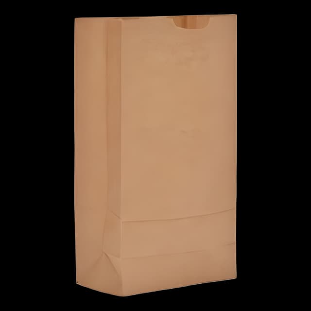 Eco-Friendly Kraft Paper Grocery Bags | 35 lb Capacity