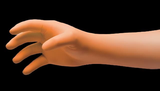 Exam Glove NitriDerm® EP Orange® 2X-Large NonSterile Nitrile Extended Cuff Length Fully Textured Orange Chemo Tested / Fentanyl Tested