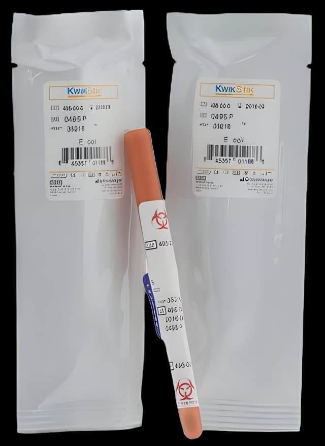 Kwik-Stik E. coli ATCC 25922 Quality Control - Microbiologics