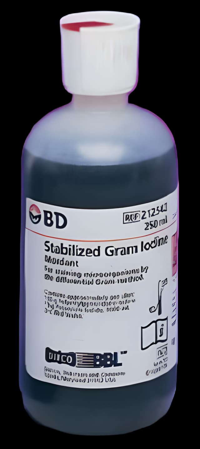 Gram Iodine Stain BD BBL™ 4 X 250 mL
