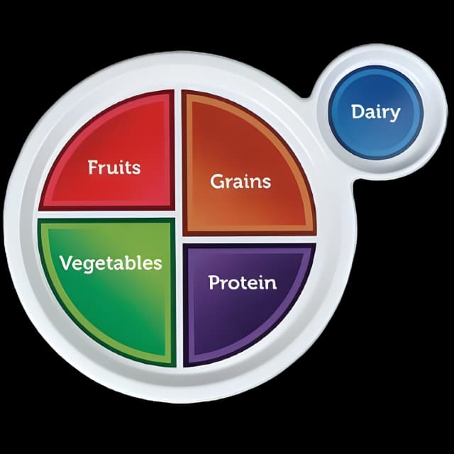 MyPlate Nutritional Guide Plate by Nasco Healthcare