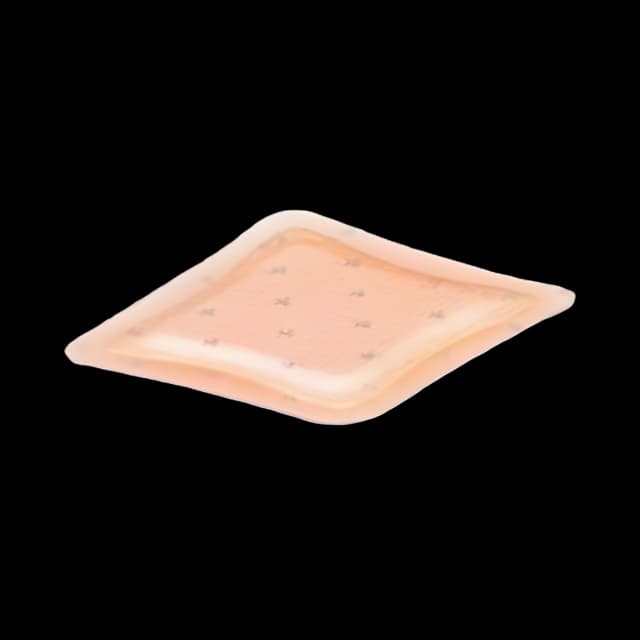 Silver Foam Dressing Allevyn Ag Adhesive 6-3/4 X 6-3/4 Inch Sacral Sterile