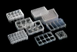 Thermo Scientific™ Nunc™ Multiwell Cell Culture Dish - 12565496 for Laboratory Research