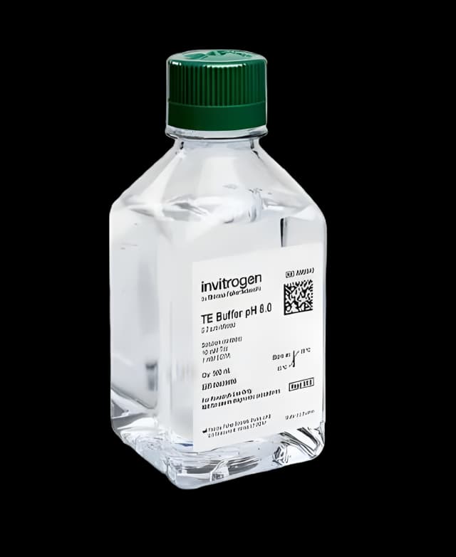 Chemistry Reagent Invitrogen™ Ambion® Tris-EDTA Buffer Molecular Biology Grade pH 8.0 500 mL