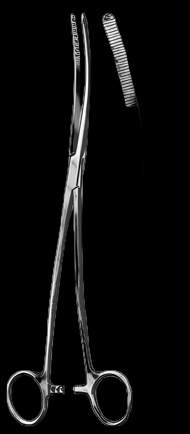 Dressing Forceps BR Surgical Bozeman 10-1/2 Inch Length Floor Grade Stainless Steel Double Curved