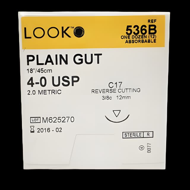 Absorbable Suture with Needle LOOK® Plain Gut C-6 3/8 Circle Reverse Cutting Needle Size 5 - 0 - 500B
