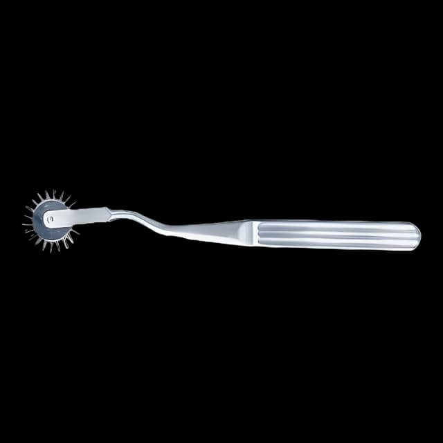 Wartenberg Pinwheel McKesson 7 Inch Length Mid Grade
