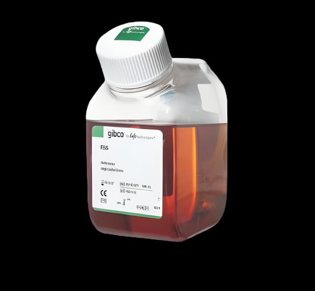 Gibco Fetal Bovine Serum for Cell Culture