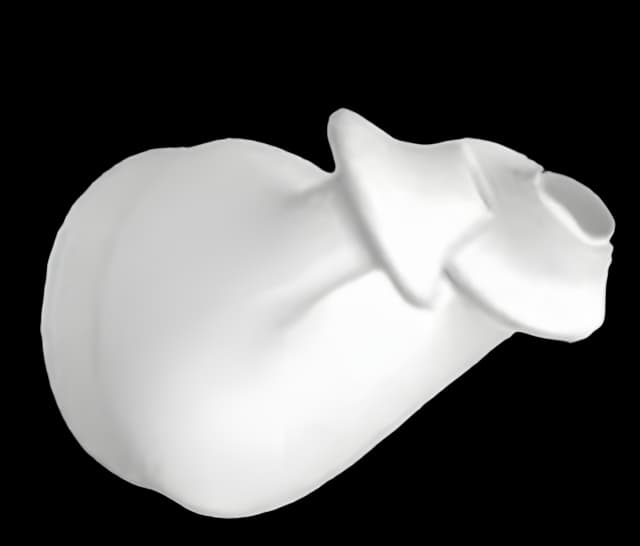 CPAP Mask Component CPAP Nasal Pillows Opus™ 360 Nasal Pillow Style Small Cushion