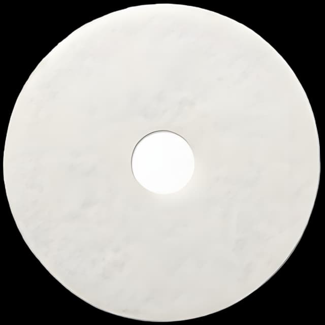 Medical Grade Floor Polishing Pad - Boardwalk® 20"