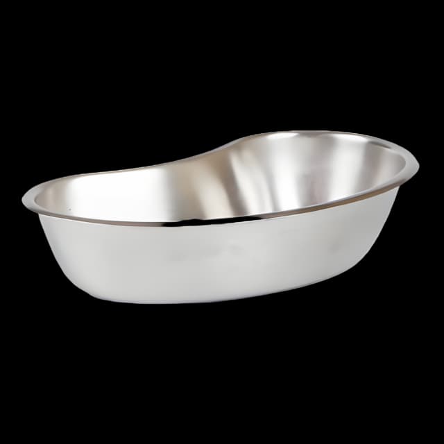 Emesis Basin Silver 400 cc Stainless Steel Reusable