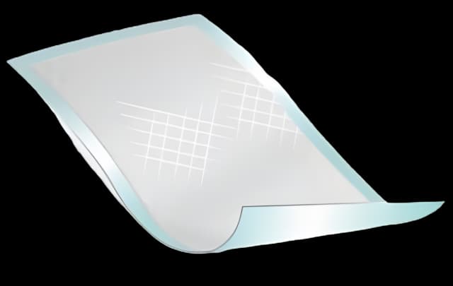 Disposable Underpad Deluxe 23 X 24 Inch Polymer Heavy Absorbency