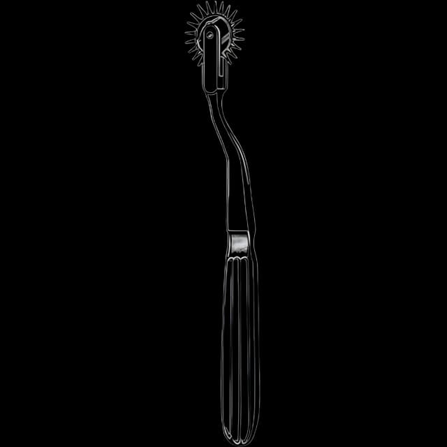 Wartenberg Pinwheel Merit™ 7-1/2 Inch Length Mid Grade