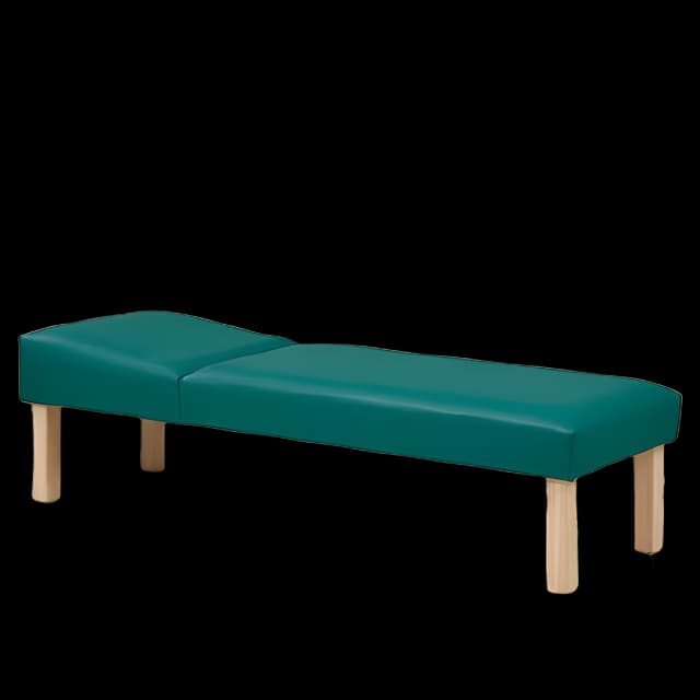 Clinton Hardwood Leg Recovery Couch Model 3620