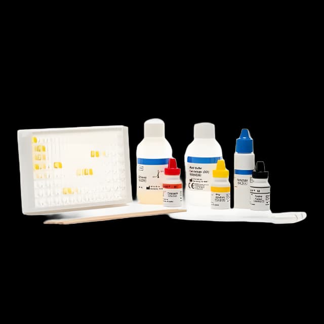 Digestive Test Kit C.Diff Chek™- 60 Clostridium Difficile (C. Diff) 96 Tests CLIA Non-Waived