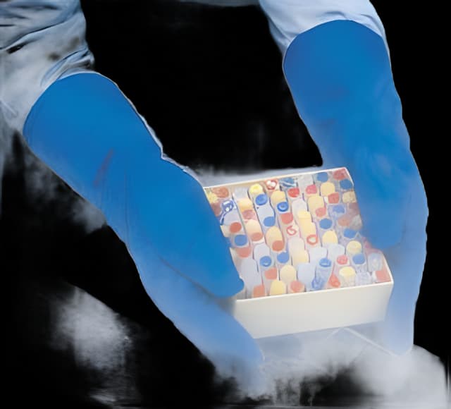 Cryogenic Glove Tempshield® Cryo-Gloves® Medium Water Resistant Material Blue 13.5 to 15.25 Inch Straight Cuff NonSterile