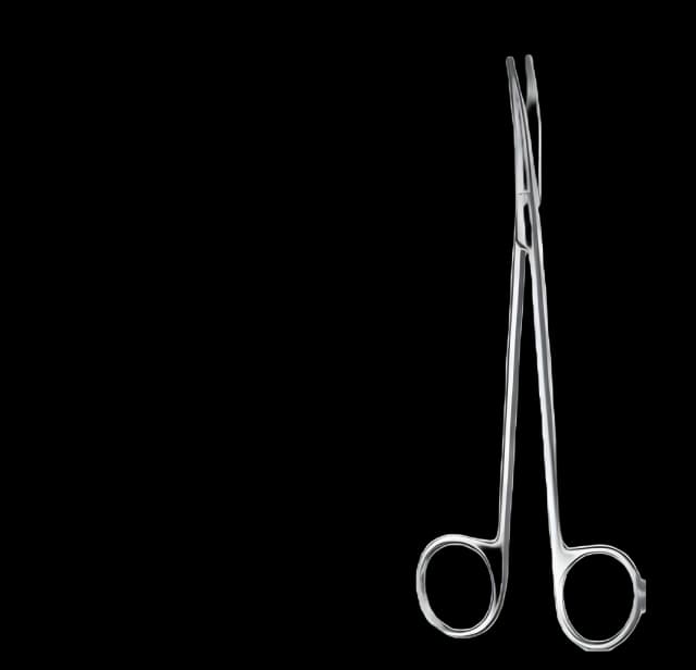 Dissecting Scissors Padgett® Metzenbaum 7 Inch Length Surgical Grade Stainless Steel / Tungsten Carbide NonSterile Curved Blade