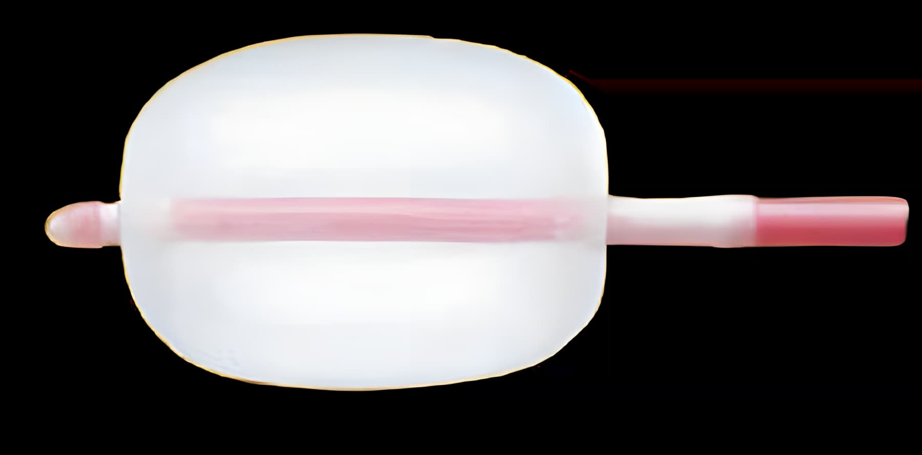 https://usmed-media.usamedpremium.com/public/assets/Catalog/Images/USAMP-25858271.webp
