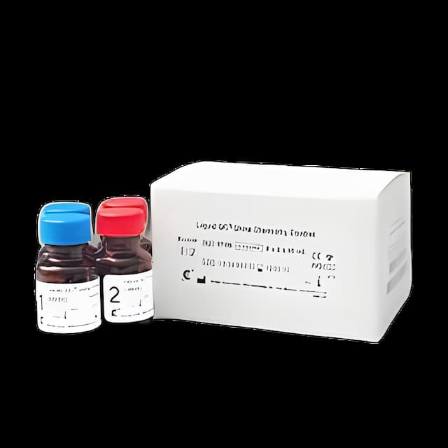 https://usmed-media.usamedpremium.com/public/assets/Catalog/Images/USAMP-26000890.webp