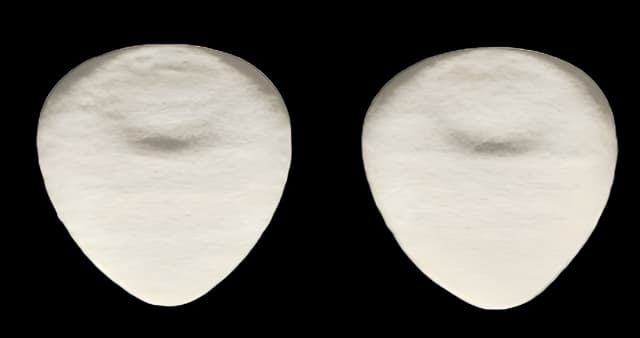 Foot Pad Hapad® IPK One Size Fits Most Without Closure Foot - IPK