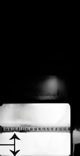 Blank Label Fisher Scientific Thermal White Paper 1 X 3 Inch