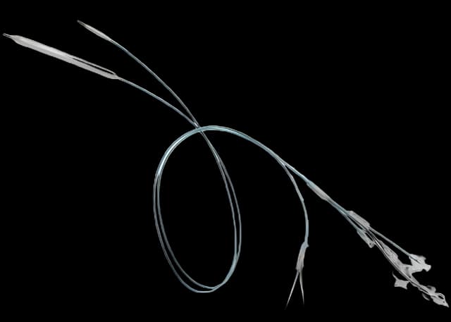 Conquest® 40 PTA Dilatation Catheter - Bard Peripheral Vascular