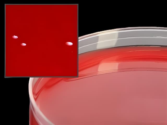 Prepared Media Anaerobic Phenylethyl Alcohol Agar (CDC formula) Mono-Plate Format