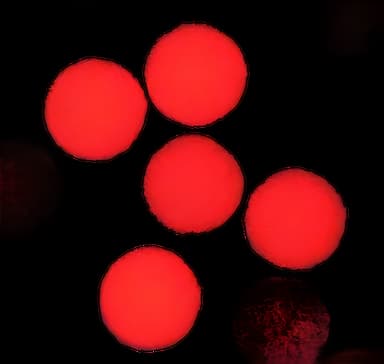 Fluorescent Particles Thermo Scientific™ Fluoro-Max™ Dyed Polystyrene Microsphere in Water Flow Cytometry / Microscopy pH 5.0 to 8.0 5 mL