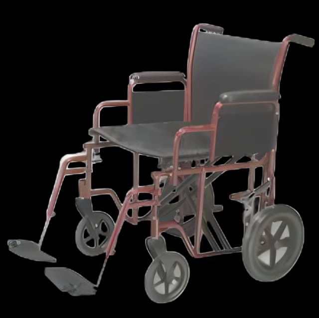 Transport Chair drive™ 22 Inch Seat Width Desk Length Arm Swing-Away Footrest Steel Frame