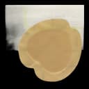 Foam Dressing ComfortFoam™ Border 7-1/5 X 7-1/5 Inch With Border Waterproof Backing Silicone Adhesive Sacral Sterile