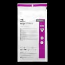 Surgical Glove Biogel® PI Micro Size 7.5 Sterile Polyisoprene Standard Cuff Length Micro-Textured Straw Chemo Tested