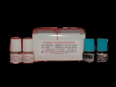 Control Set ITA 2 Levels 4 X 2 mL