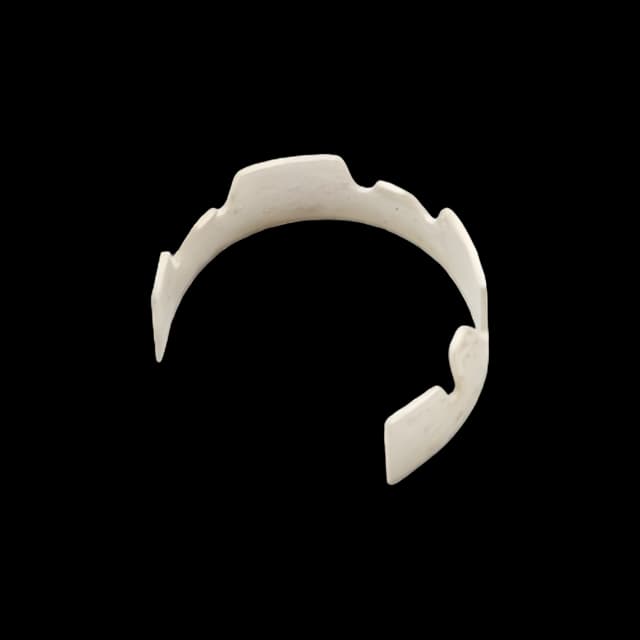 Lamp Collar For use with PocketScope Otoscope