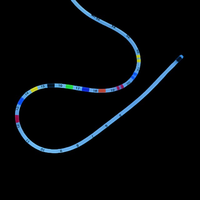 Closed Suction Catheter Kimvent® Y-Adapter Style 8 Fr. Control Valve Vent