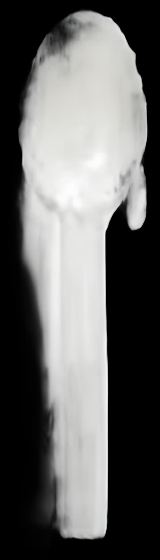 Empress Medical Taster Spoon - Latex-Free Sampling Utensil