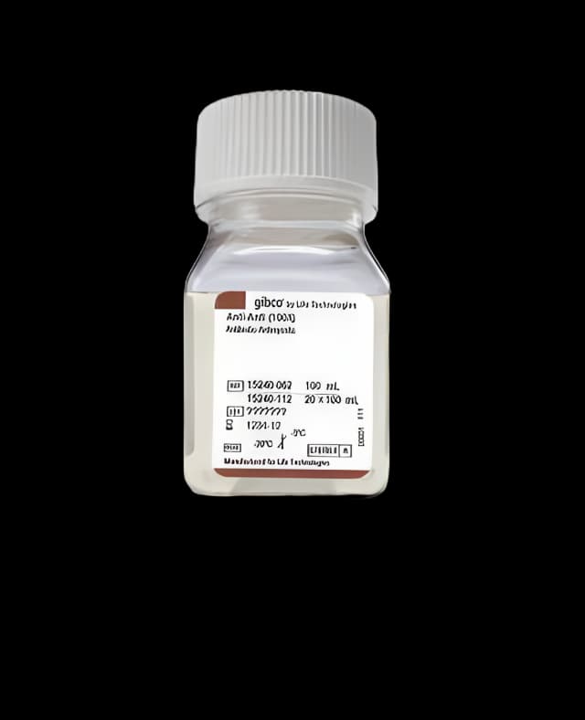 Cell Culture Reagent Gibco® Antibiotic-Antimycotic Antibiotic 100X 100 mL