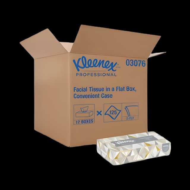 White Facial Tissue for Business, 2-Ply, 125 Sheets/Box, 12 Boxes/Carton