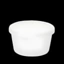 Dawn Mist® Denture Cup 8 oz. Clear Snap-On Lid Single Patient Use
