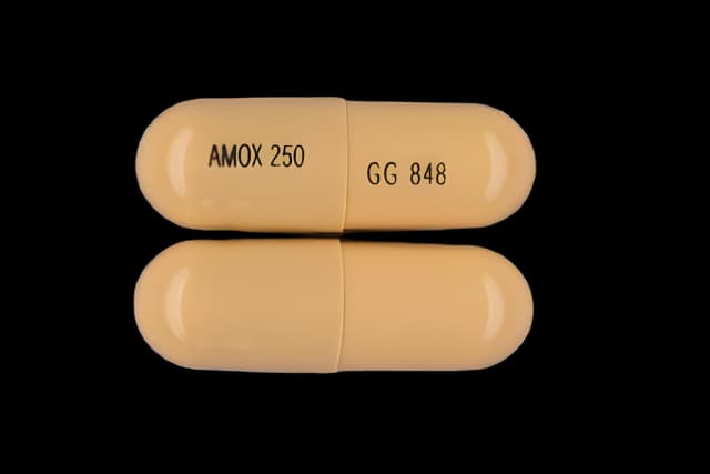 Amoxicillin 250 mg Capsule Bottle 100 Capsules - 00781202001