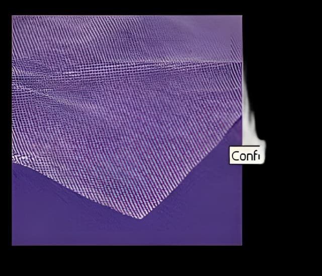 Wound Contact Layer Dressing Conformant 2 4 X 4 Inch Sterile