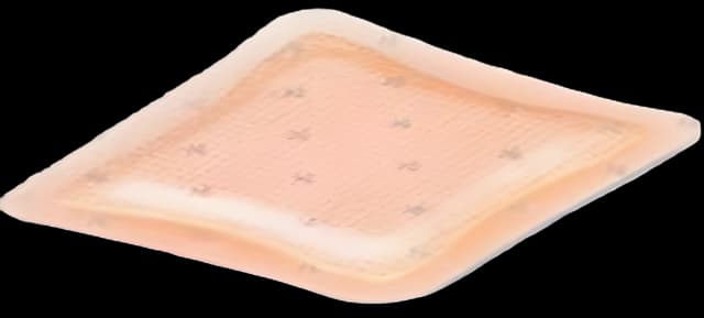 Silver Foam Dressing Allevyn Ag Adhesive 5 X 5 Inch Square Sterile