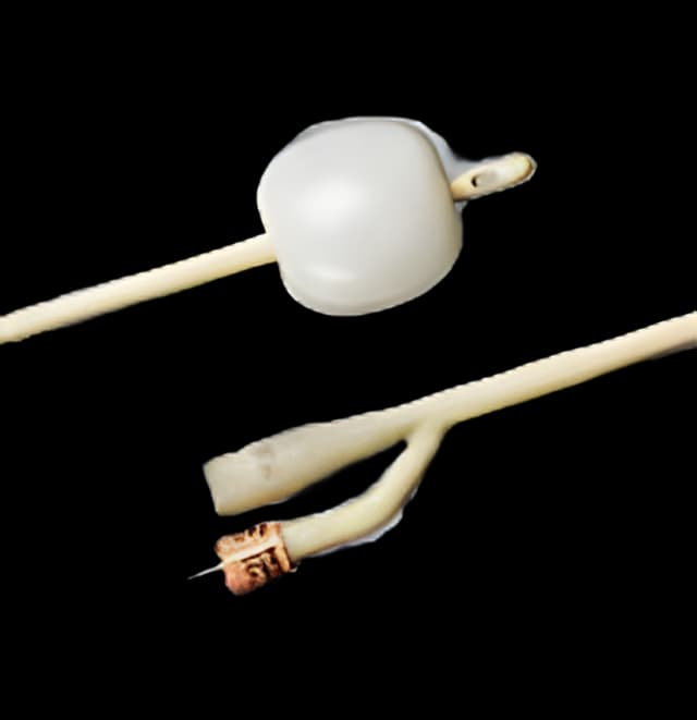 Foley Catheter Bardex® I.C. 2-Way Standard Tip 30 cc Balloon 20 Fr. Silver Alloy Coated Latex