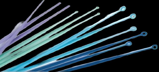 Inoculating Loop 1 µL Plastic Integrated Handle Sterile - COPS1 - 2