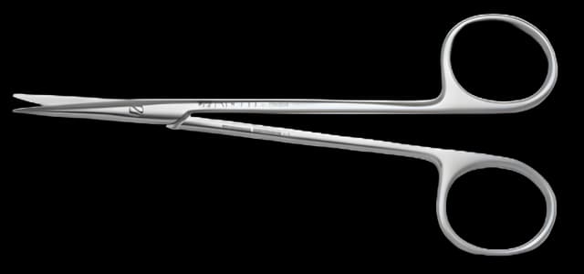 Iris Scissors Padgett® Thomas 4-1/2 Inch Length Surgical Grade Stainless Steel NonSterile Finger Ring Handle Curved Blade