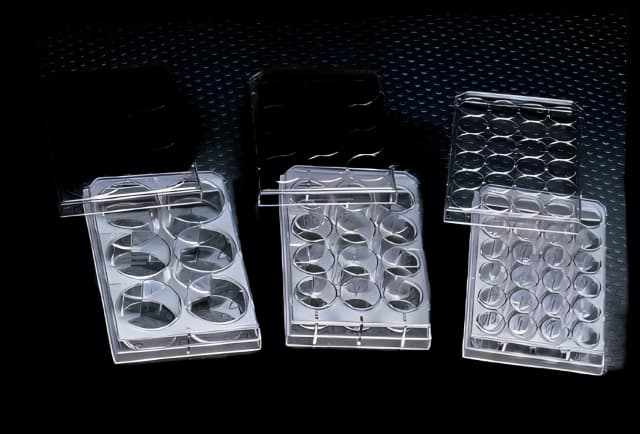 Thermo Scientific™ Nunc™ Multiwell Cell Culture Dish - Laboratory