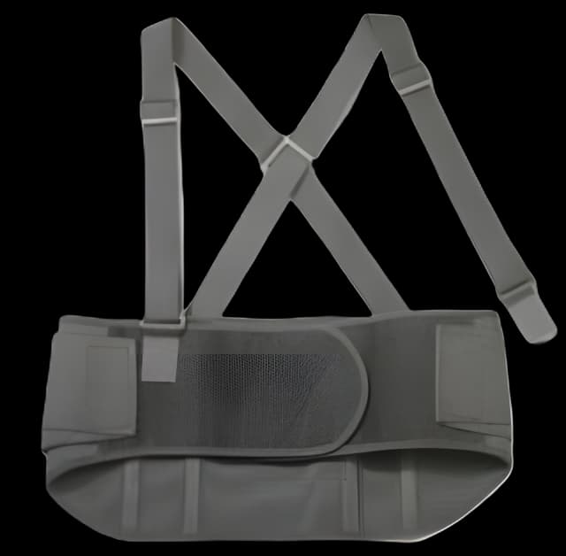 Occupational Back Support ProFlex® 1600 Standard 2X-Large Hook and Loop Closure 42 to 46 Inch Waist Circumference 9 Inch Height Adult