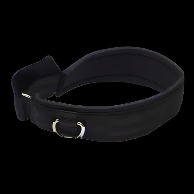 Head Strap Thera-Band® Padded, Adjustable Hook and Loop Closure, D-Ring Attachment