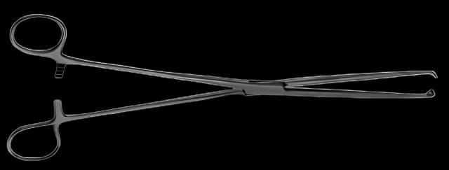 Tissue Forceps Allis 6 Inch Length Mid Grade Stainless Steel 5 X 6 Teeth